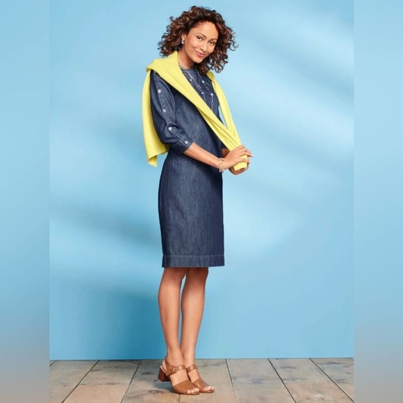 Talbots Striated Denim Shift Dress Women's Size 8 - Picture 1 of 8